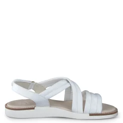 Ronnie Sandal|Paul Green Hot