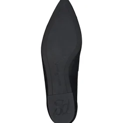 Teddy Flat|Paul Green Best